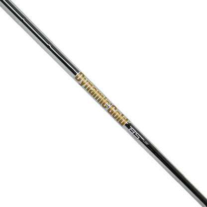 Dynamic Gold 95 Iron Shaft .355" Taper